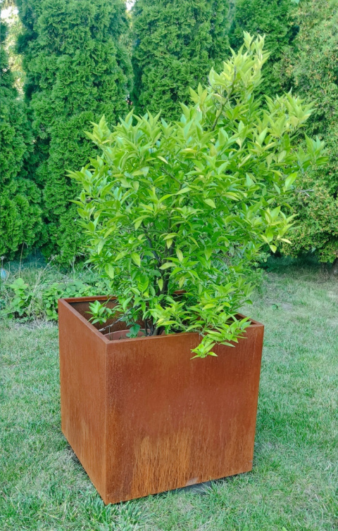 tarasowe donice z blachy corten rdzewione tarasowe donice z blachy corten rdzewione