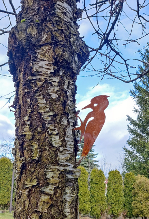 Ptak Dzięcioł ozdoba ogrodowa corten rdzewiona Ptak Dzięcioł ozdoba ogrodowa corten rdzewiona