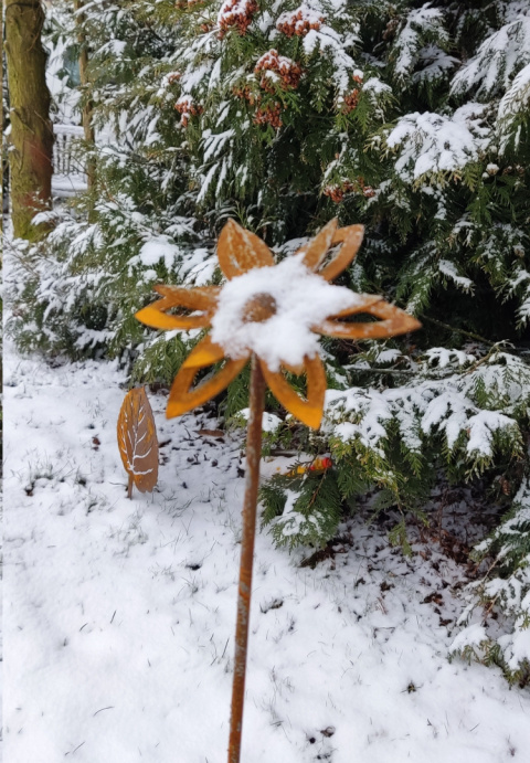 Kwiat ozdoba ogrodowa corten rdzewiona przestrzenna Kwiat ozdoba ogrodowa corten rdzewiona przestrzenna