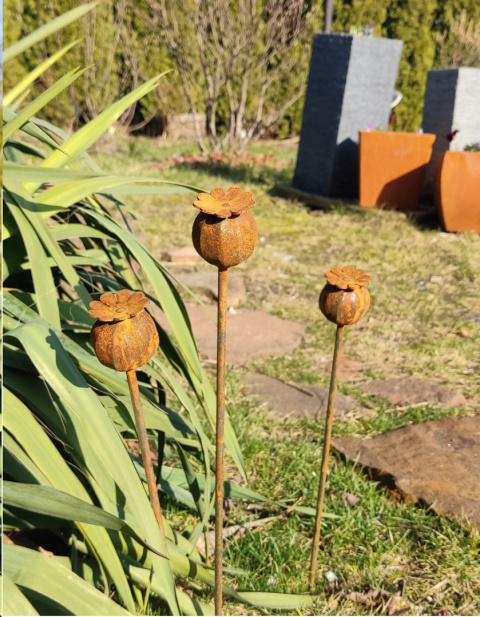 Makówka metalowa ozdoba do ogrodu corten rdzewiona 3D 035 Makówka metalowa ozdoba do ogrodu corten rdzewiona 3D 035