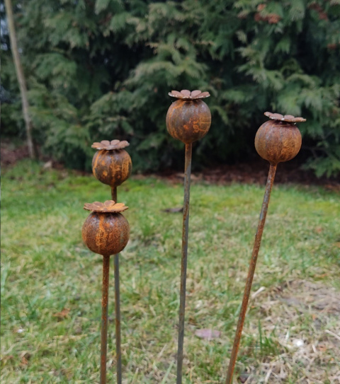 Makówka metalowa ozdoba ogrodowa corten rdzewiona 3D 035 Makówka metalowa ozdoba ogrodowa corten rdzewiona 3D 035