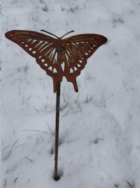 Motyl ozdoba ogrodowa corten rdzewiona Motyl ozdoba ogrodowa corten rdzewiona