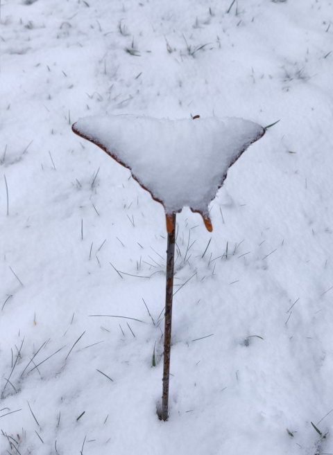 Motyl ozdoba ogrodowa corten rdzewiona Motyl ozdoba ogrodowa corten rdzewiona