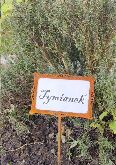 Etykieta do roślin metalowa ramka corten rdzewiona Etykieta do roślin metalowa ramka corten rdzewiona
