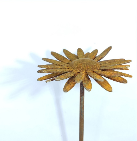 Stokrotka Afrykańska metalowa ozdoba ogrodowa corten rdzewiona 3D 061 Stokrotka Afrykańska metalowa ozdoba ogrodowa corten rdzewiona 3D 061