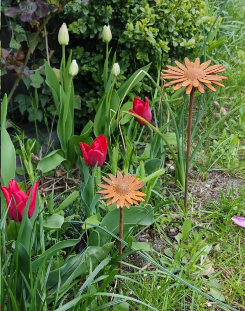 Stokrotka Afrykańska metalowa ozdoba ogrodowa corten rdzewiona 3D 061 Stokrotka Afrykańska metalowa ozdoba ogrodowa corten rdzewiona 3D 061
