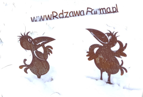 Ptak Tukan ozdoba ogrodowa corten rdzewiona 020 Ptak Tukan ozdoba ogrodowa corten rdzewiona 020