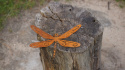 ważka ozdobna metalowa corten